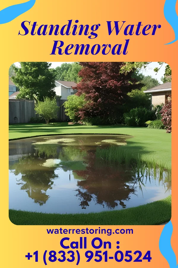Standing Water Removal in Mount Etna, IN